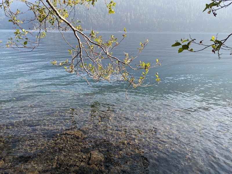 Discover the Serenity of Lake Crescent surrounding landscape