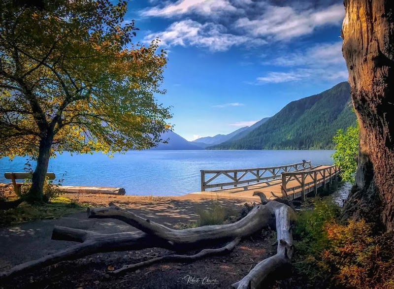 Discover the Serenity of Lake Crescent - Lake Crescent