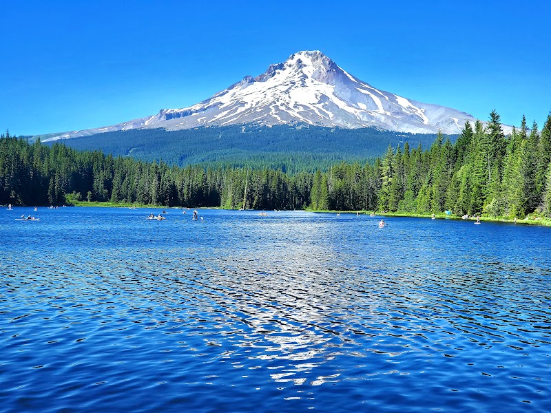 Majestic Mount Hood National Forest surrounding landscape