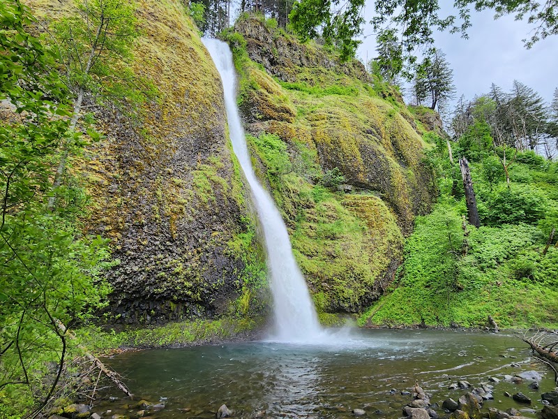 Majestic Mount Hood National Forest outdoor detail