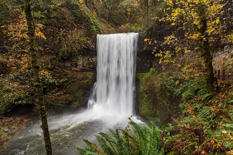 Silver Falls State Park: Nature's Waterfall Wonderland - Silver Falls State Park