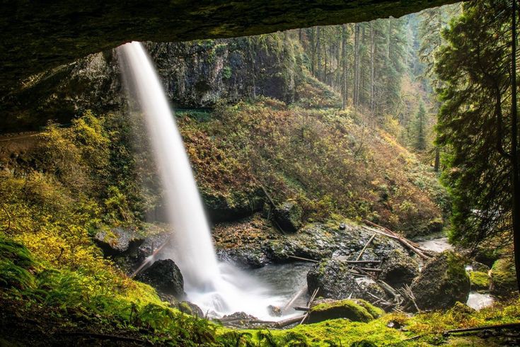 Silver Falls State Park: Nature's Waterfall Wonderland outdoor detail