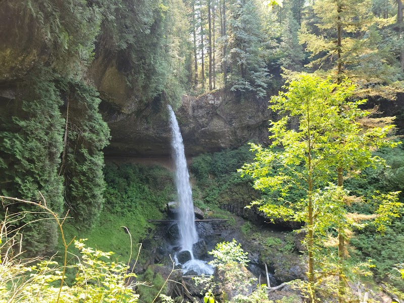 Silver Falls State Park: Nature's Waterfall Wonderland surrounding landscape