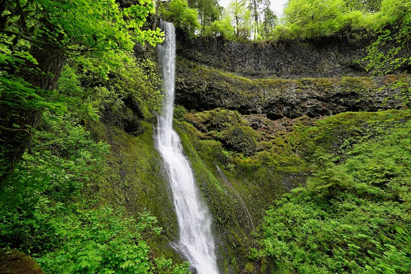 Silver Falls State Park: Nature's Waterfall Wonderland - Silver Falls State Park