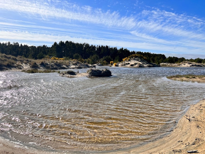 Discover the Sandscape Magic surrounding landscape
