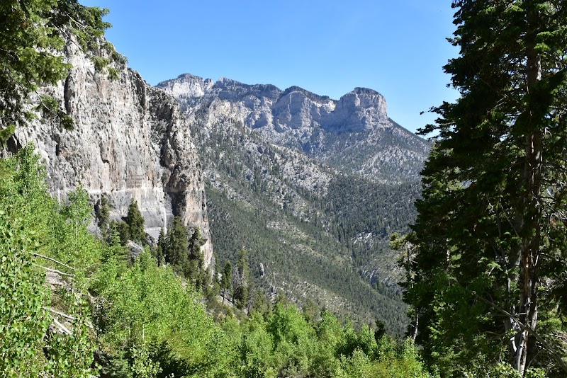 Cathedral Rock Trail: A Rugged Escape - Cathedral Rock Trail