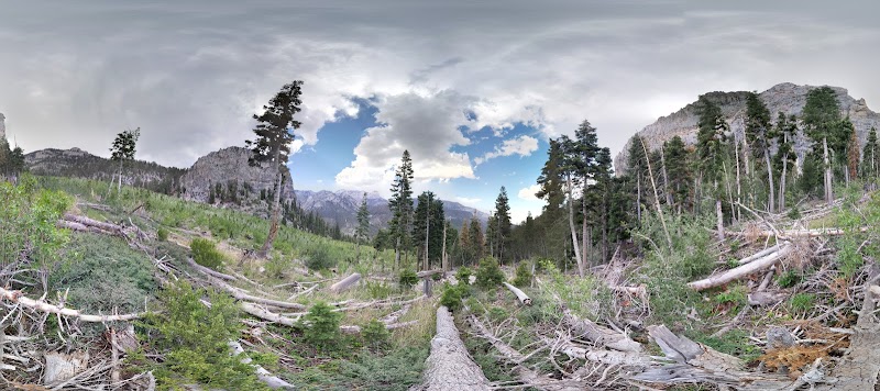 Cathedral Rock Trail: A Rugged Escape surrounding landscape