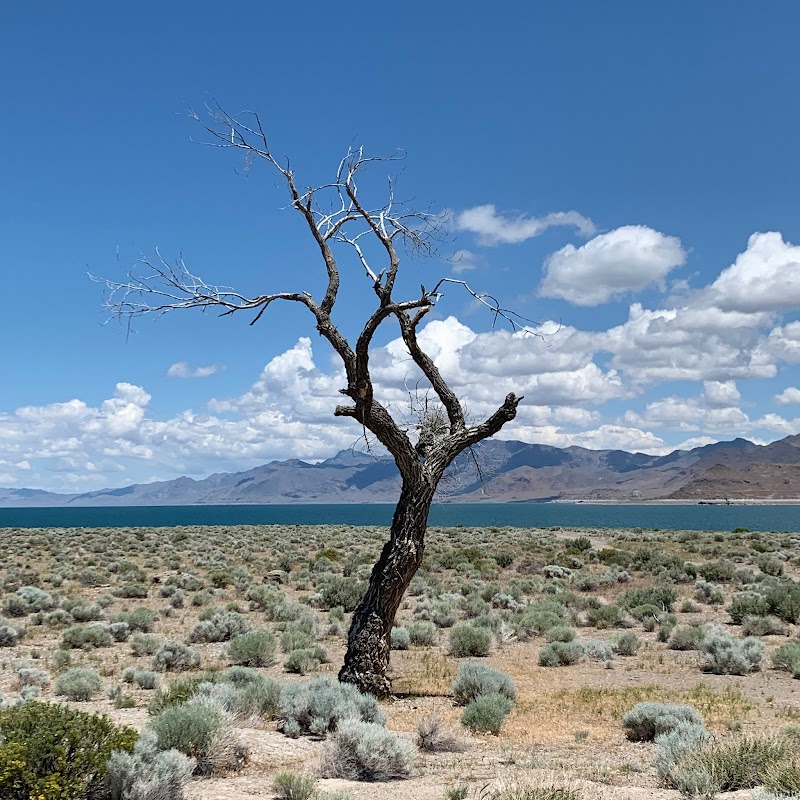 Mesmerizing Pyramid Lake - Pyramid Lake