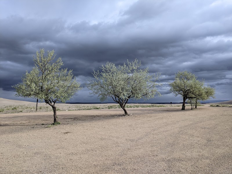 Bruneau Dunes State Park: A Desert Wonder - Bruneau Dunes State Park