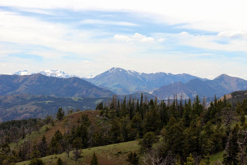 Majestic Peaks of Absaroka Range outdoor detail