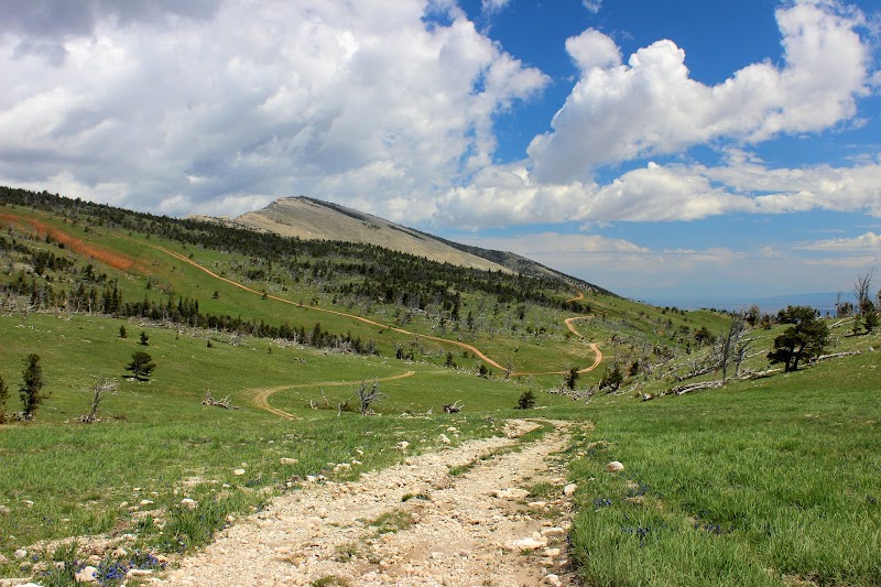 Majestic Peaks of Absaroka Range surrounding landscape