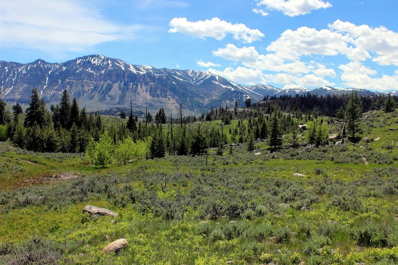 Majestic Peaks of Absaroka Range - Absaroka Range