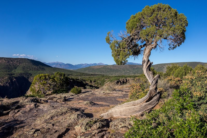 Discover the Depths: Black Canyon of the Gunnison National Park - Black Canyon of the Gunnison National Park