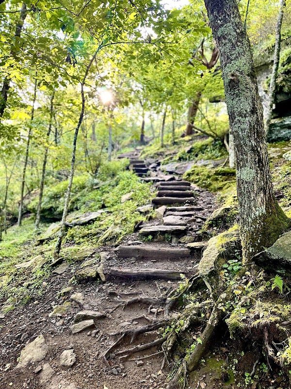Discover Bearwallow Mountain Trail - Bearwallow Mountain Trail