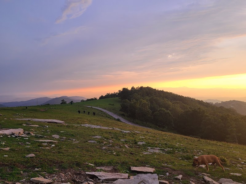 Discover Bearwallow Mountain Trail - Bearwallow Mountain Trail
