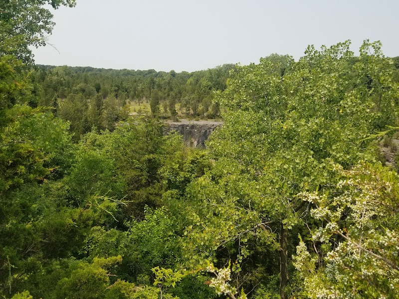 Glacial Grooves of Kelleys Island - Image 1