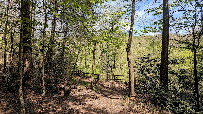 Discover the Tranquility of Yahoo Falls surrounding landscape