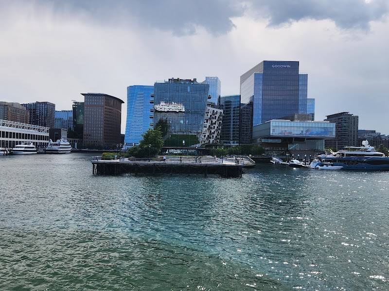 Whale Watching Tours from Boston Harbor - Boston