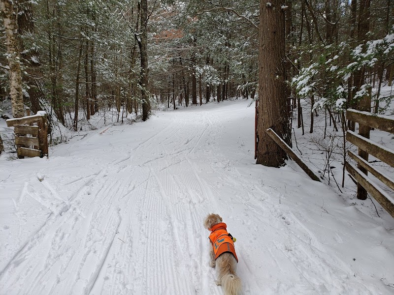 Winter Activities at Maple Corner Farm in The Berkshires - The Berkshires