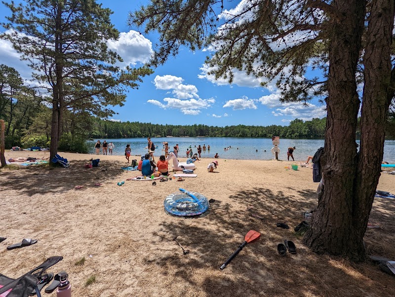 Backcountry Camping in Myles Standish State Forest surrounding landscape