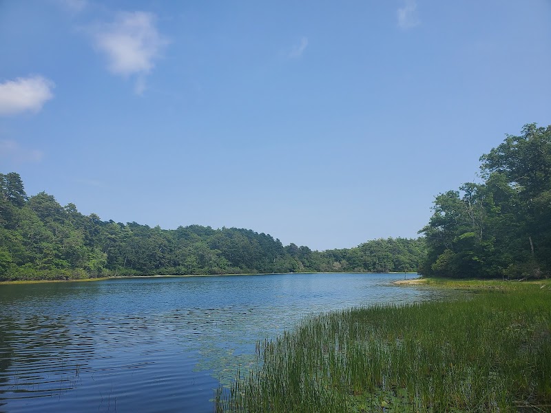 Group Camping at Nickerson State Park near Boston - Boston