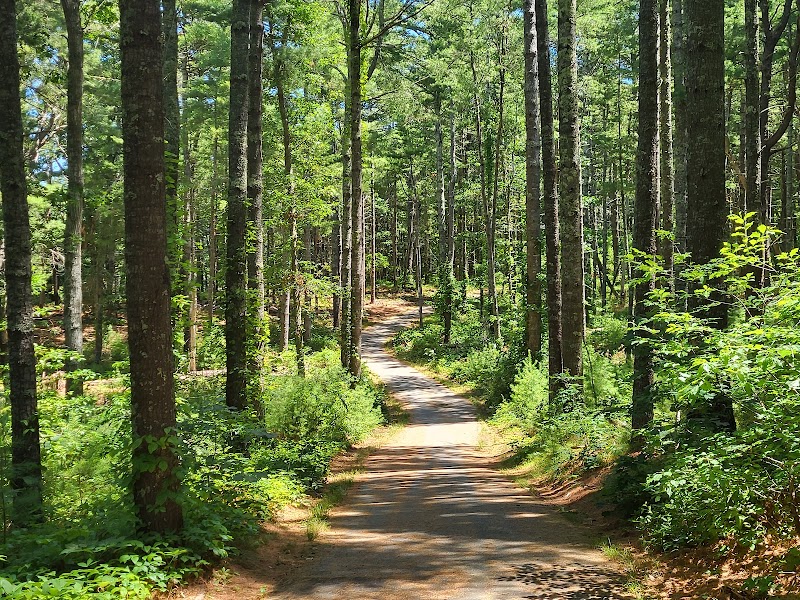 Group Camping at Nickerson State Park near Boston - Boston