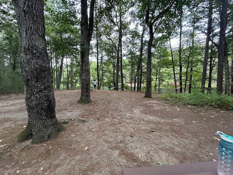 Camping at Harold Parker State Forest in Boston surrounding landscape