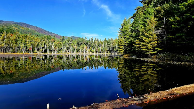 Ride the Flume Trail System: Mountain Biking Bliss in Lake Placid - Lake Placid