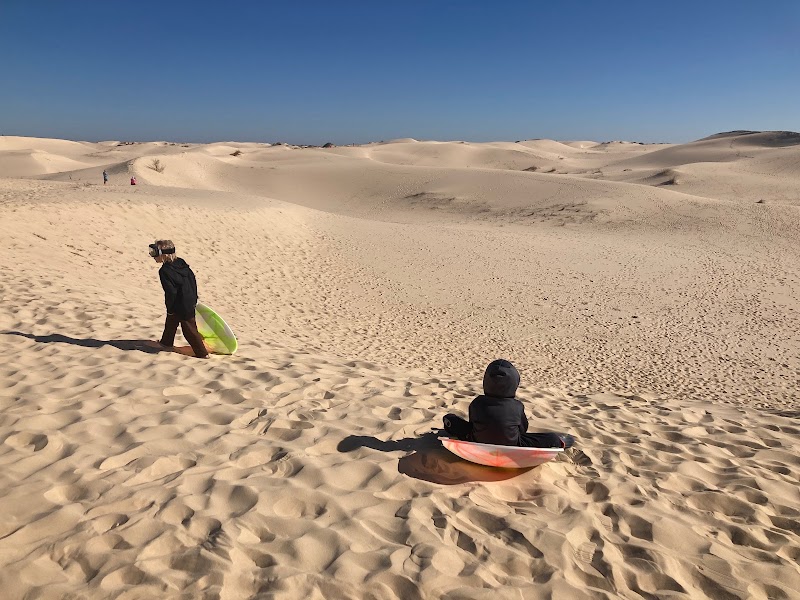 Discover Monahans Sandhills - Monahans Sandhills State Park