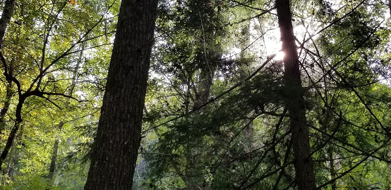 Run the Sugarlands Valley Nature Trail in Gatlinburg surrounding landscape