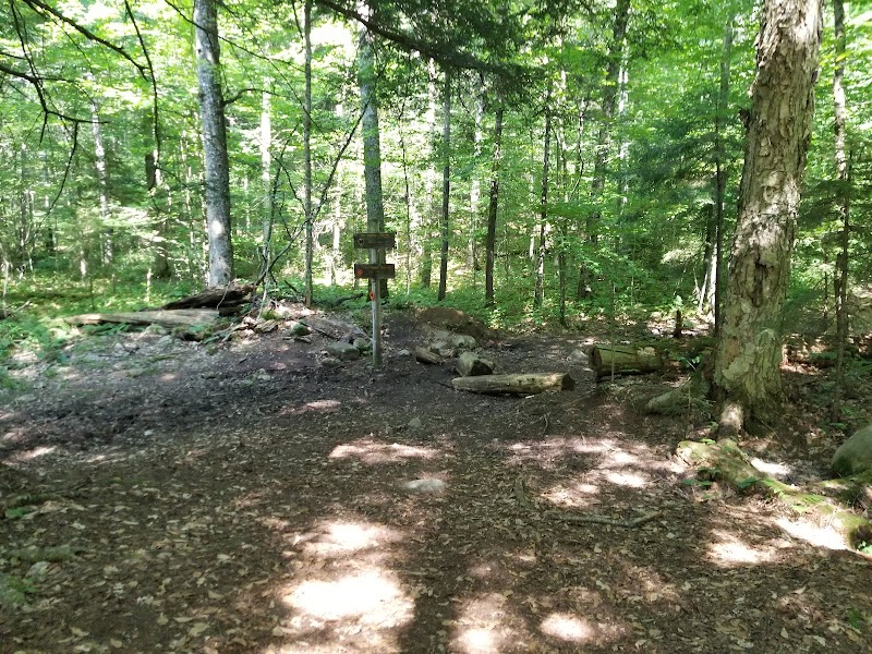 Discover Owls Head Mountain - Owls Head Mountain