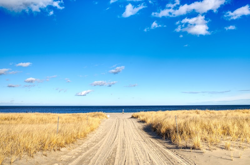 Crane Beach Reservation adventures