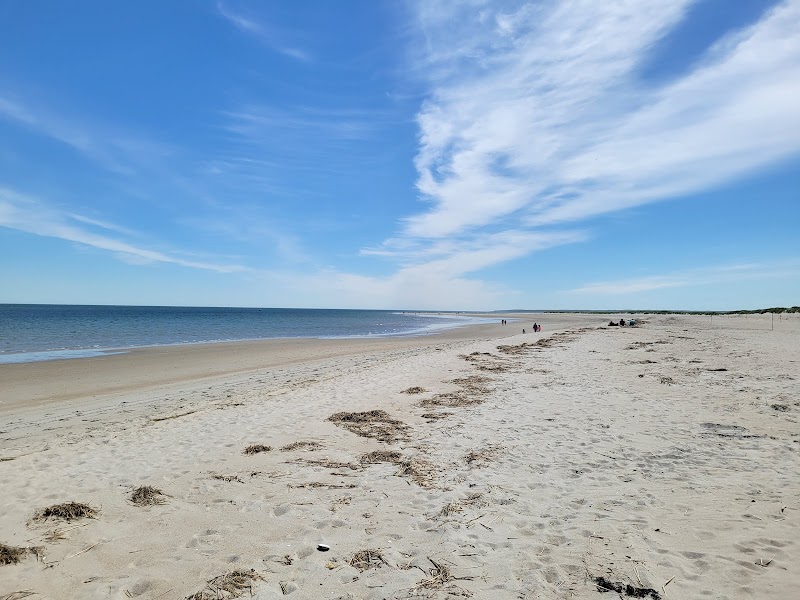 Discover Crane Beach surrounding landscape