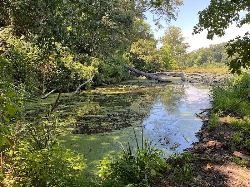 Discover Elk Neck State Park surrounding landscape