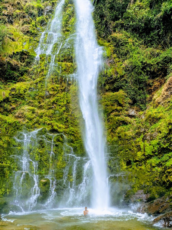Blossoming Heights: Kitulo National Park - Kitulo National Park