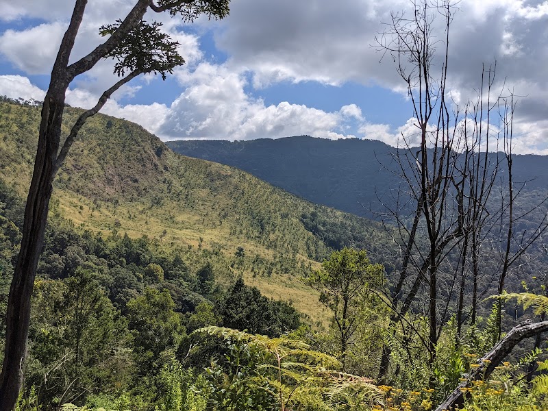 Blossoming Heights: Kitulo National Park - Kitulo National Park