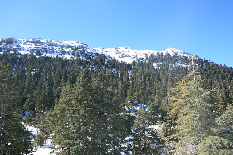 Discover Talassemtane National Park - Talassemtane National Park