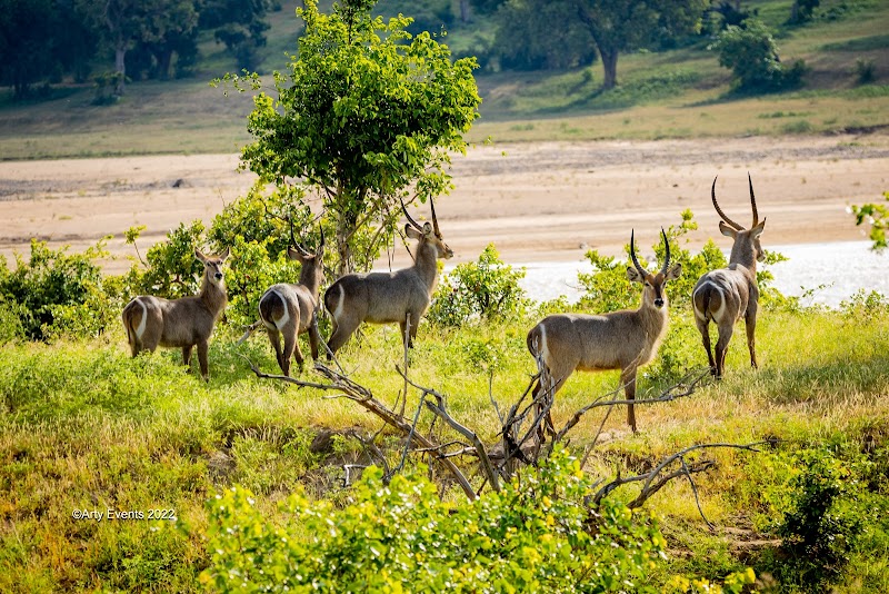 Wonders of South Gonarezhou National Park - South Gonarezhou National Park