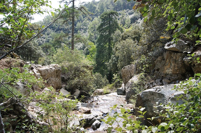 Kalidonia Waterfall: Cyprus’ Hidden Gem - Image 2