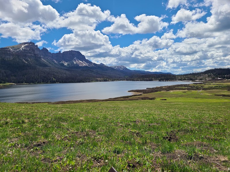 Tranquil Beauty of Brooks Lake Road - Brooks Lake Road