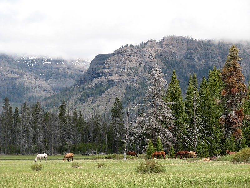Hawks Rest: Wyoming’s Serene Wilderness - Hawks Rest