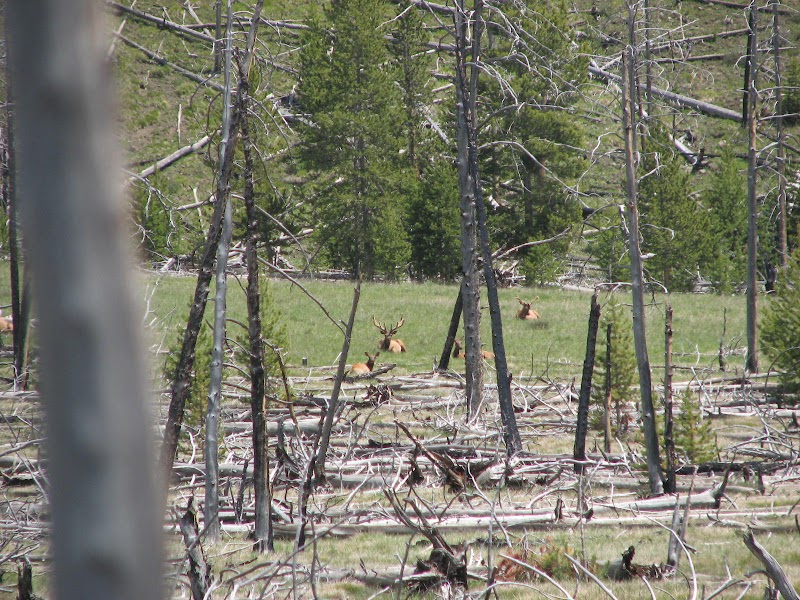 Hawks Rest: Wyoming’s Serene Wilderness surrounding landscape