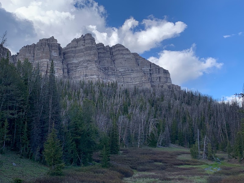 Discover Togwotee Pass: A Gateway to Adventure - Togwotee Pass