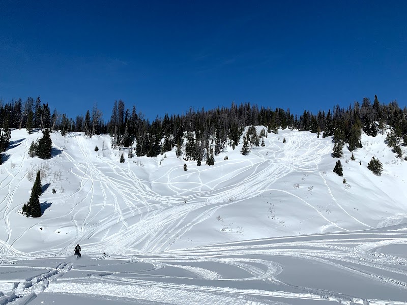 Discover Togwotee Pass: A Gateway to Adventure - Togwotee Pass