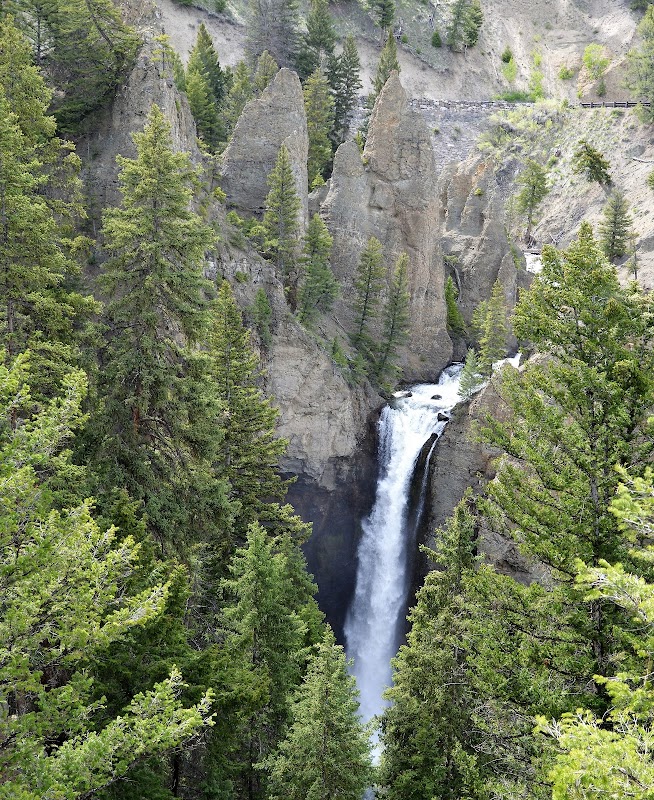 Tower Fall: Yellowstone's Cascading Beauty outdoor detail