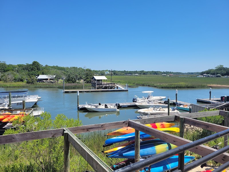 Local Expert: Coastal Expeditions in Charleston & Beaufort - Mount Pleasant