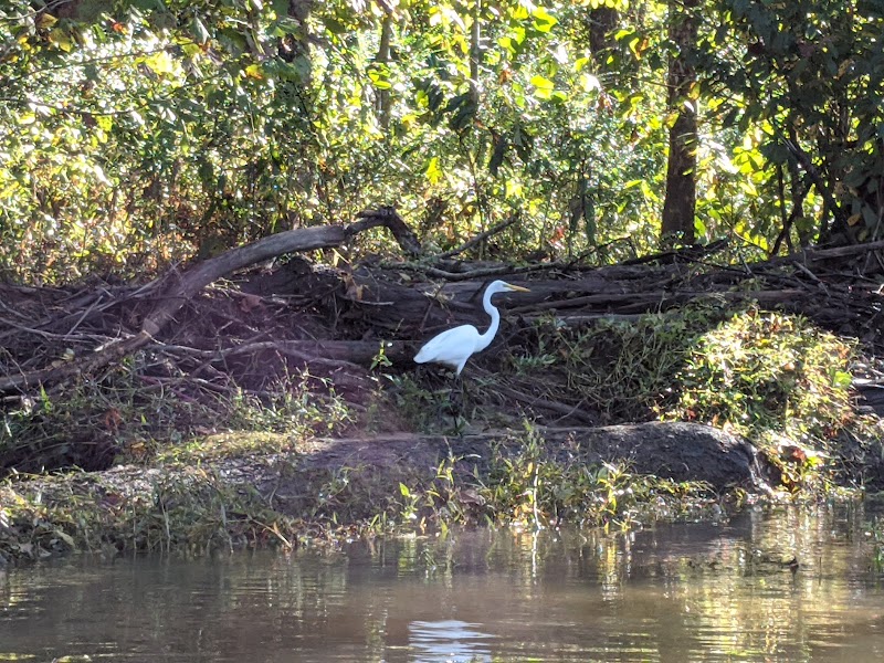 Tranquility at Lake Adger - Lake Adger