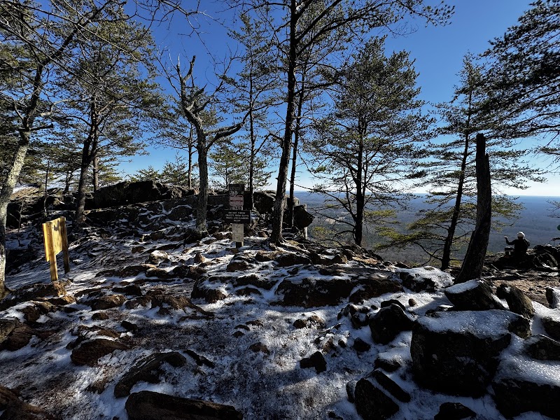 Experiencing Charlotte’s Ridgeline Trail: A Journey into North Carolina’s Untamed Beauty - Charlotte