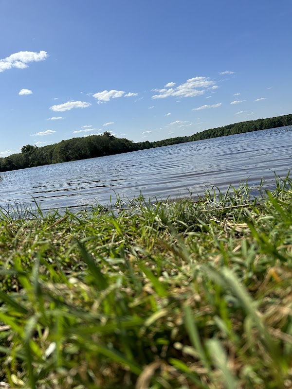 Tranquil Waters of Lepel'skae Lake - Lepel'skae Lake
