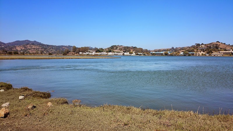 Discover Bothin Marsh Preserve surrounding landscape